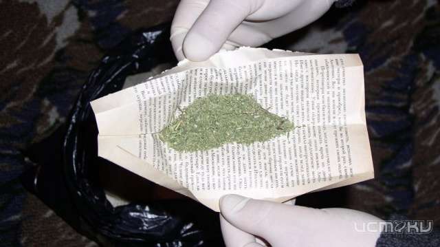 У жителя Дмитровского района нашли 150 граммов марихуаны