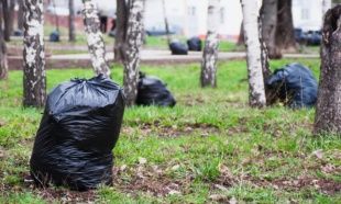 Субботник «Зеленая весна» переносится на 29 апреля