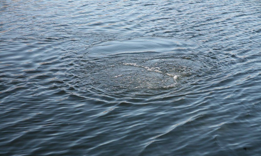 Жители Орловщины вытащили из реки тело пенсионера