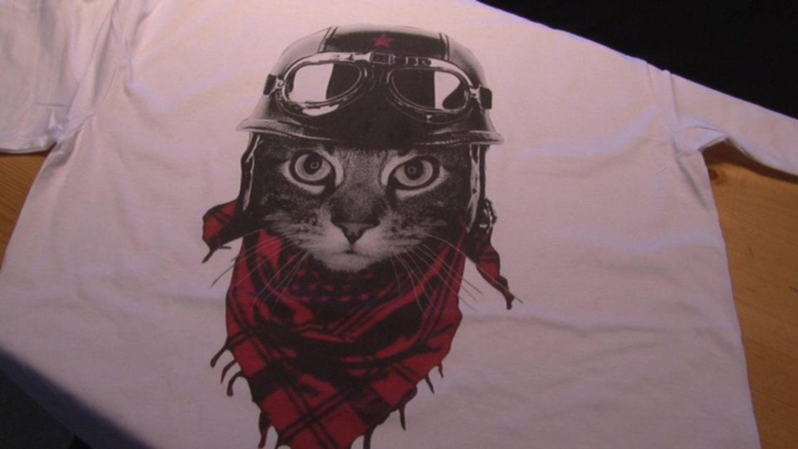 В Орле вновь звучал рок в поддержку братьев наших меньших