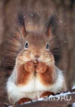 Осенний конкурс