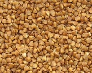 Орловская область на втором месте по сбору гречихи