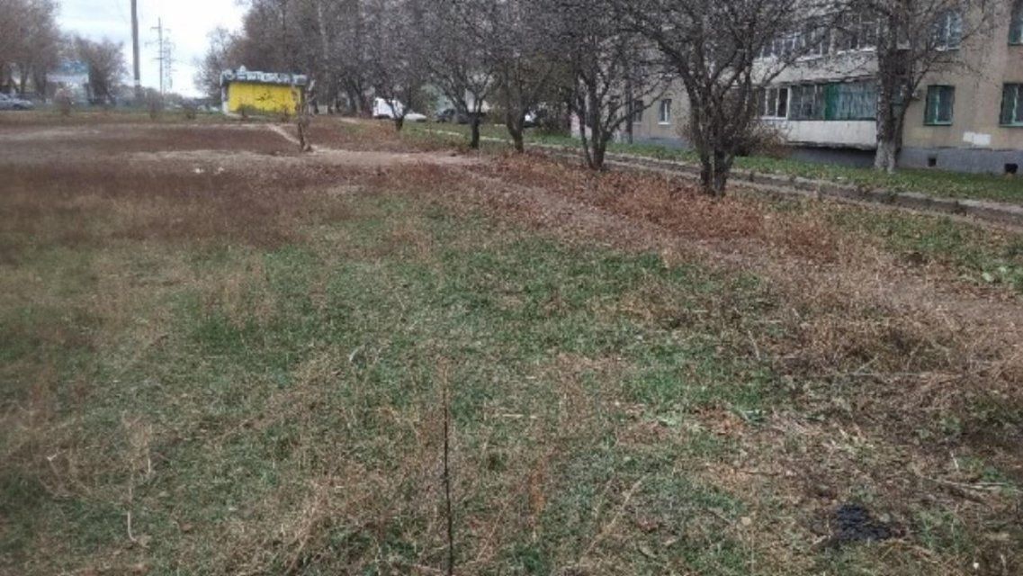 После смерти депутата в Орле пришла в негодность площадка для выгула собак