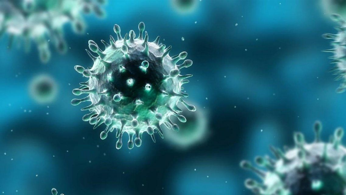 В Орловской области впервые за сутки выявили 169 новых случаев COVID-19