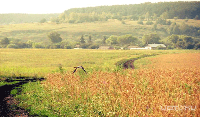 Удивительная природа Орловского края всего в двух шагах