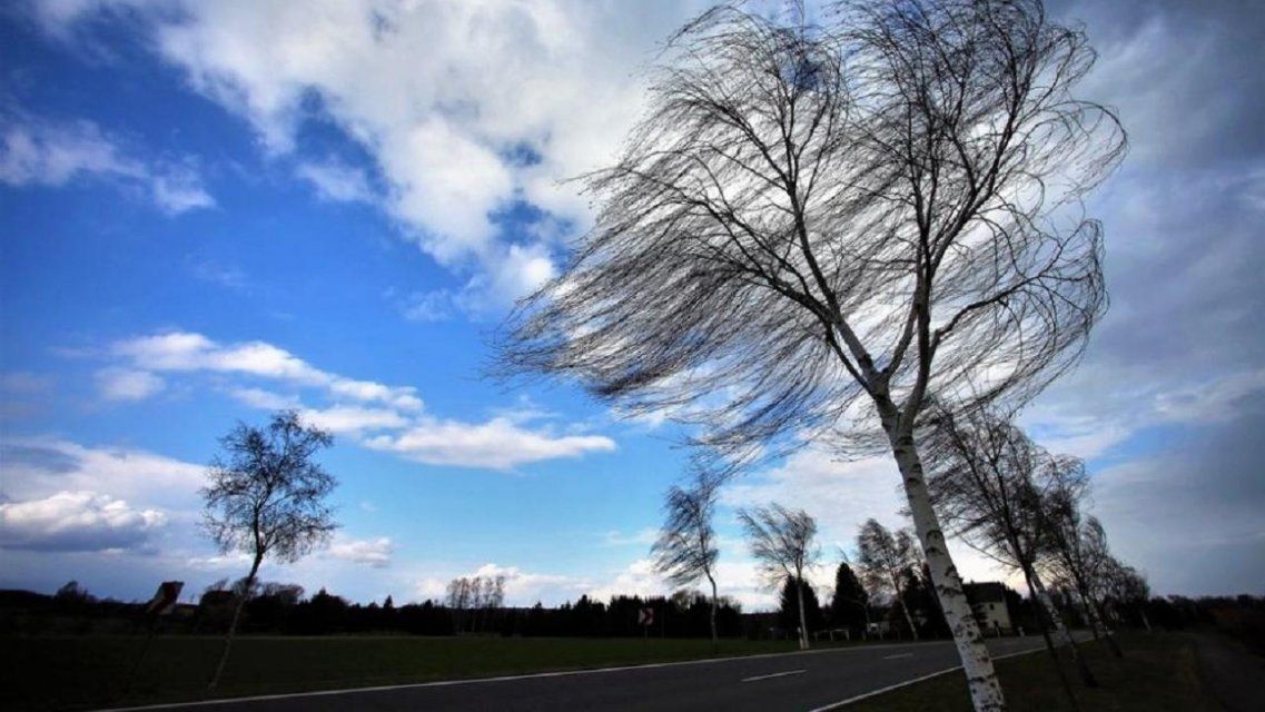 Из-за ветра на Орловщине вновь объявлен желтый уровень погодной опасности
