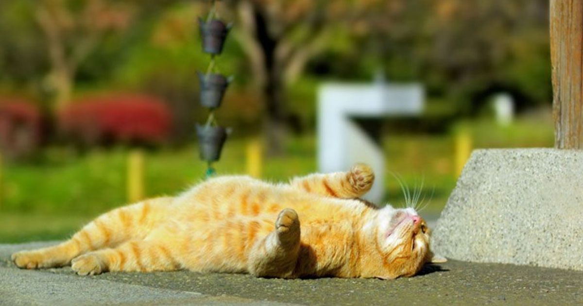 Переменная облачность и +23 °C: погода на 30 августа