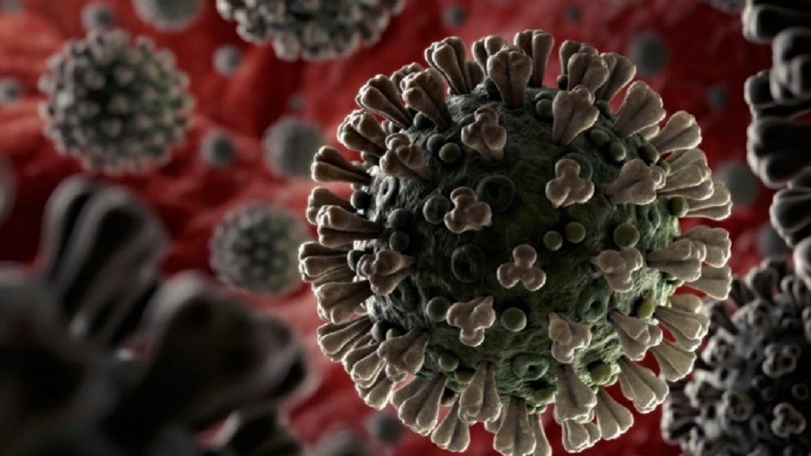 За время пандемии на Орловщине умер уже 191 пациент с коронавирусом