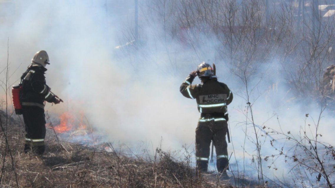Более миллиона рублей заплатят орловчане за поджоги сухой травы и мусора