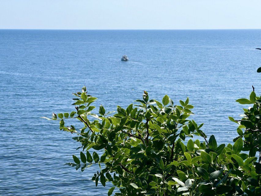 Анапа-Геленджик-Новороссийск или Сочи: куда в этом году держат путь орловцы 