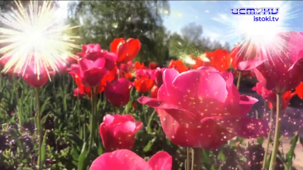 Хорошо забытое старое 10.05.2026