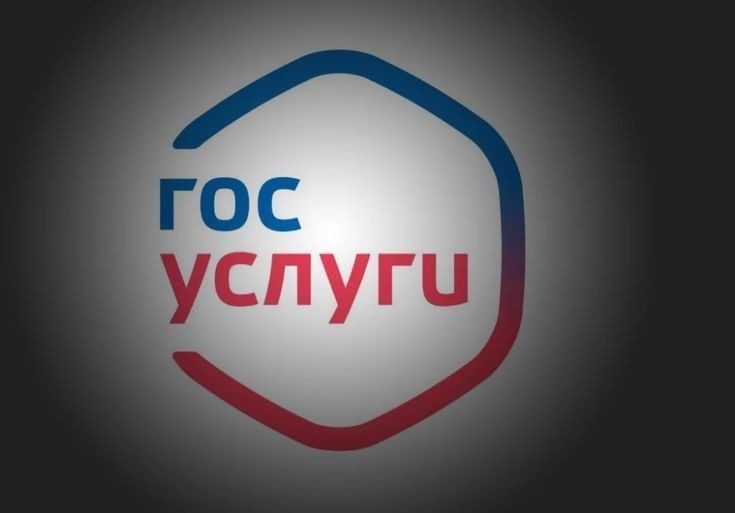 Мошенники нашли способ украсть данные орловчан на госуслугах