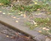 Видео: в Орле водой из люка затопило улицу Кузнецова