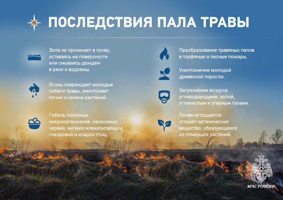 Орловские спасатели предупреждают об опасности пала сухой травы