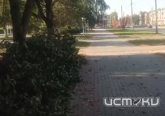 Новый победитель традиционного конкурса "Истоков"