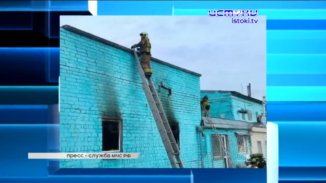 В Орле опять щепки летят – жители улицы Энгельса возмущены очередной вырубкой деревьев.