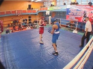 Турнир Николая Плахова собрал боксеров ЦФО и Украины 