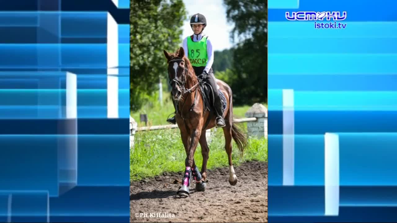 Хорошая лошадь слушается даже тени всадника (с)