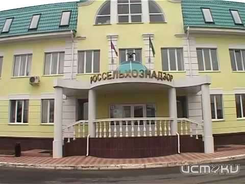 В Орловской области пять участков сельхозземли заросли сорняками