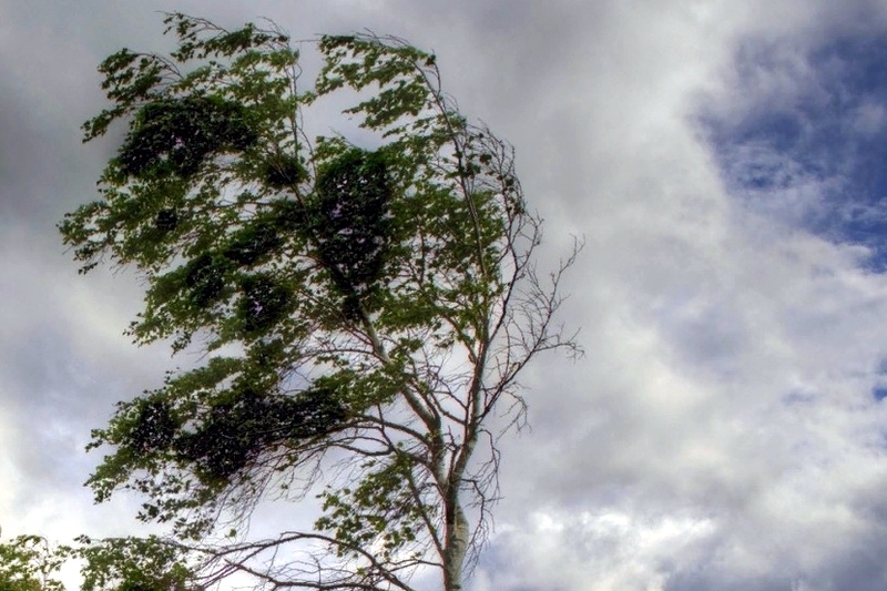 Ветер снова усилится: орловчанам пообещали ухудшение погоды