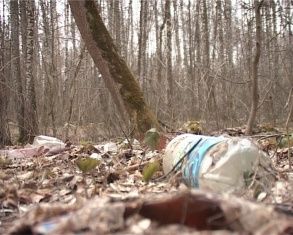 Экологическая акция "Мусору нет" добирается до Медведевского леса 