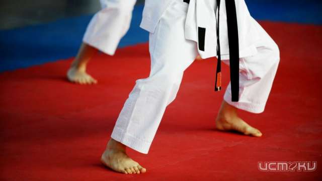 «Юность России» примет первенство Орловского района по дзюдо