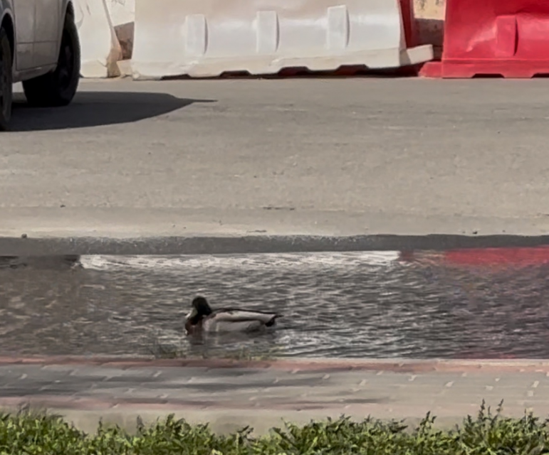 В орловский регион идет тепло