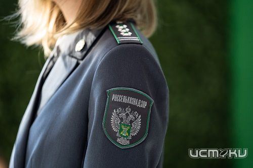 В трех орловских кафе готовили блюда из сомнительного мяса