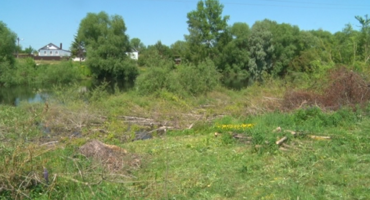 Орловские Россети сообщили, что убрали спиленные деревья в деревне Никуличи