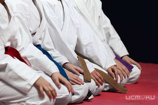 Орловские каратисты привезли две золотые медали из Болгарии