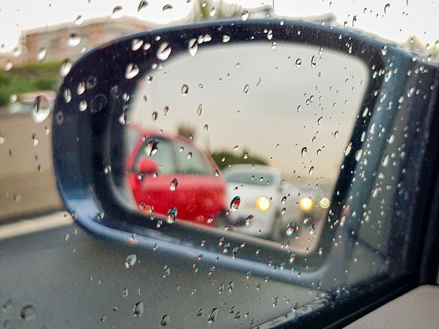 Орловчанка купила водительские права за 23 тысячи