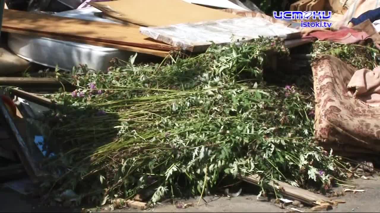 Дворы утопают в мусоре. К нам в редакцию за помощью обратились жители Орла с просьбой разобраться, кто отвечает за вывоз мусора и почему они бездейств...