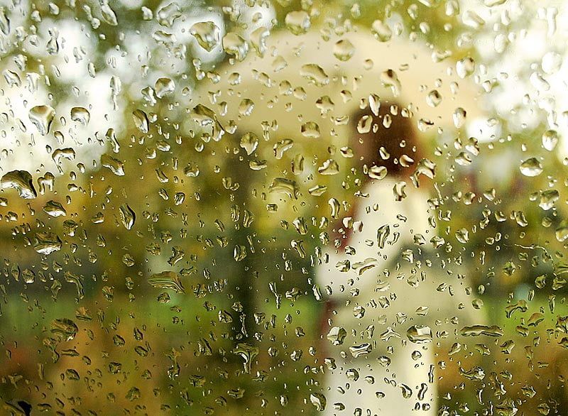 11 июля в Орле ожидается прохладным и дождливым