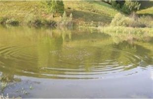 В Ливенском районе утонул 24-летний парень