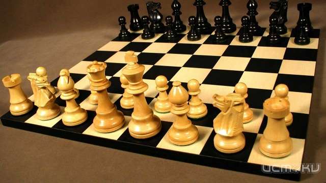 «Белая ладья» назовет имена лучших шахматистов общеобразовательных учреждений 