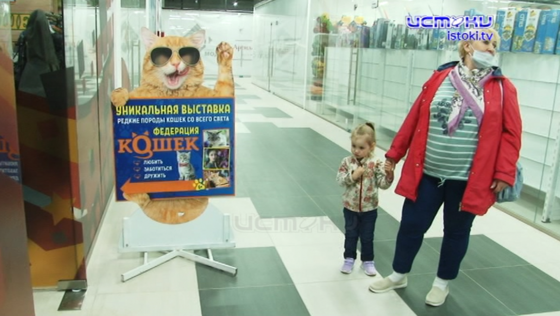 "Кошачий зоопарк" возмутил орловских зоозащитников 