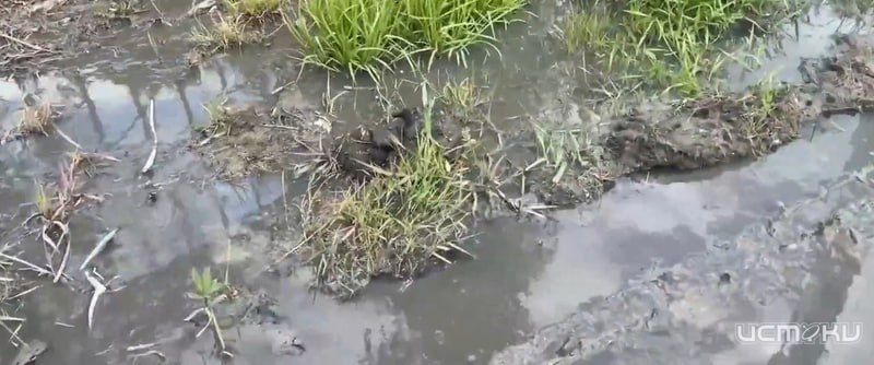 Новосильское шоссе в Орле превратилось в "фекальную реку"