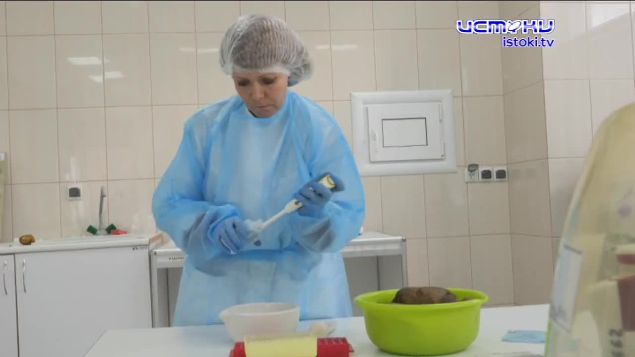 Экспертное мнение 15.03.23