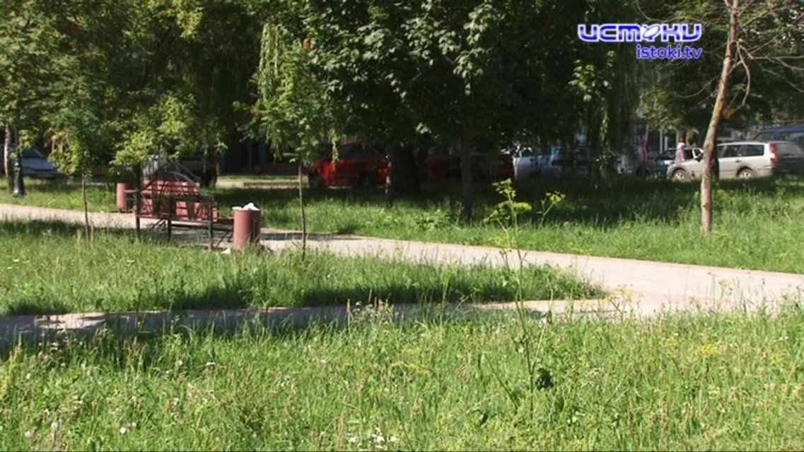 Все в бурьяне и лопухах: орловские скверы остаются в запустении из-за нехватки денег 