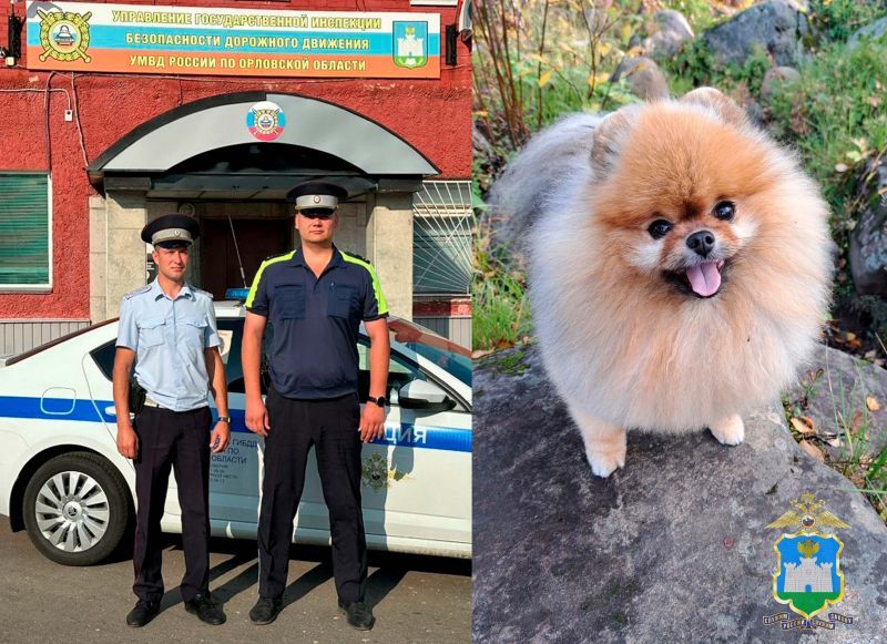 Мурманчанка поблагодарила сотрудников Орловской Госавтоинспекции