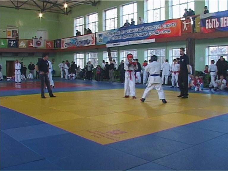 Рукопашный бой памяти Мельникова