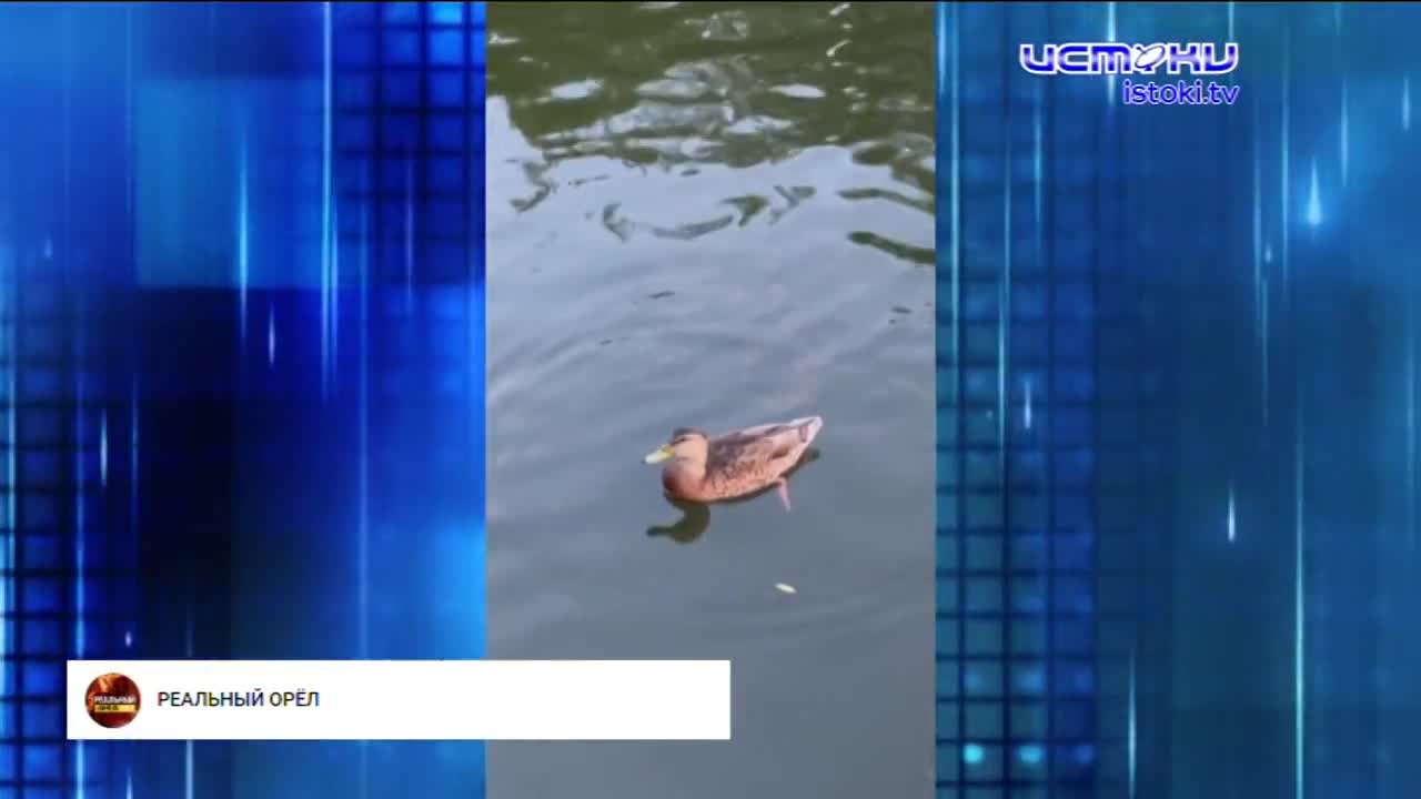 "Благоустройства" как выглядит дорожка рядом с корпусами завода УВМ