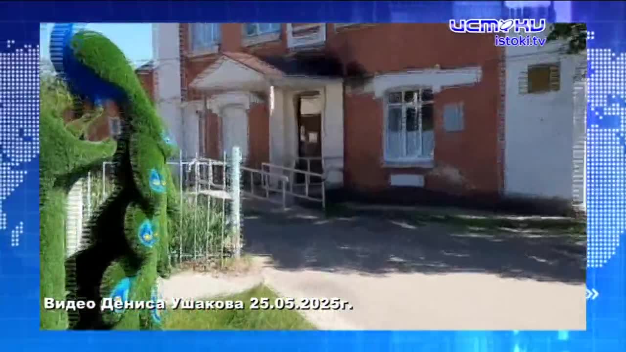 На клумбах Орла высадят 360 тысяч цветов. Экспресс - новости.