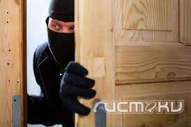 Сосед по даче украл у орловчанина бензотриммер