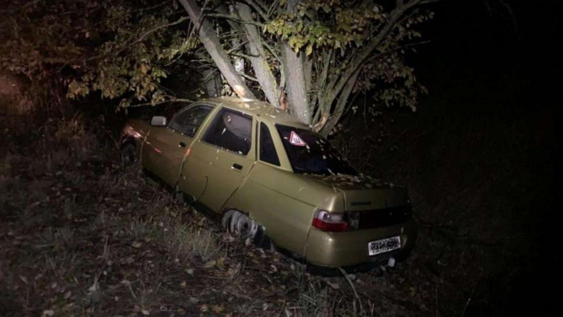В Орловской области машина с двумя детьми на большой скорости въехала в дерево