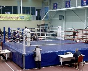 В Орле стартовало открытое первенство города по боксу 