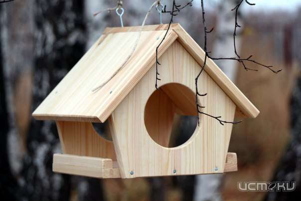 «Орел — город птиц»: акция в Детском парке