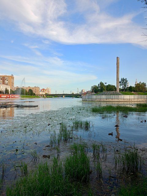 Рекордные просмотры поста определили нового народного корреспондента «Истоков»