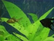 Зоомагазин "Матроскин"