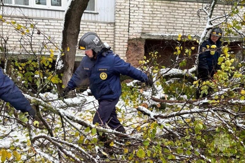 Последствия непогоды ликвидированы 